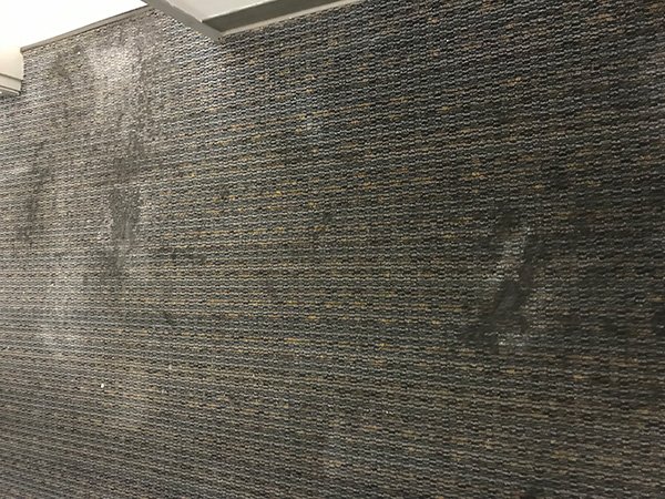 bearing-grease-on-carpet-before-uptimized